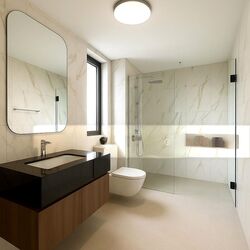 Claydence (D15), Apartment #502624681